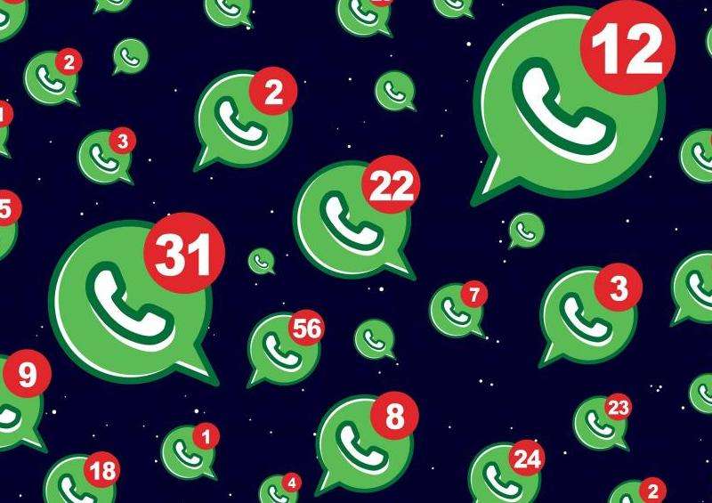 WhatsApp账号管理指南