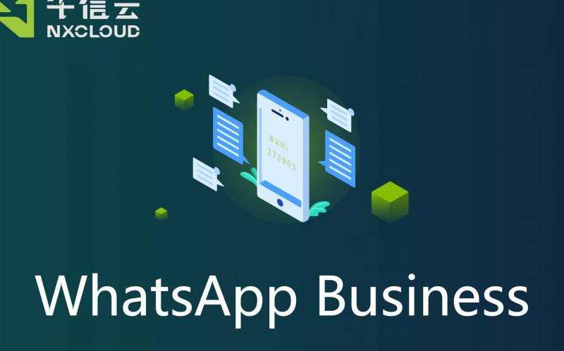 WhatsApp的SMS码是什么？WhatsApp的SMS码如何获取和使用？