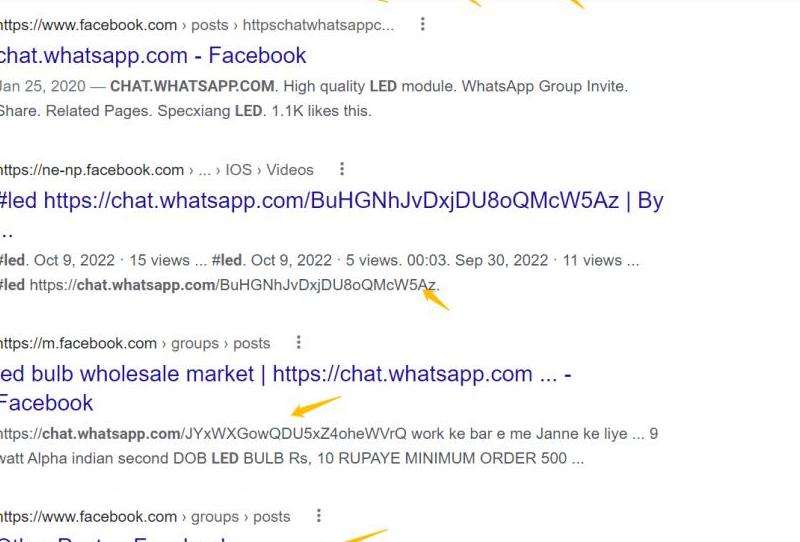 WhatsApp群组功能完全指南：如何创建和管理？
