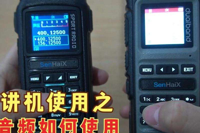 WhatsApp能接收视频吗？