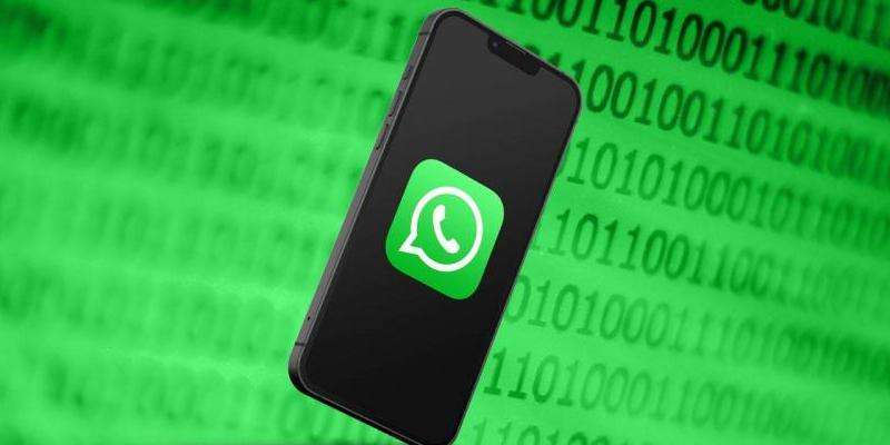 WhatsApp语音视频功能介绍
